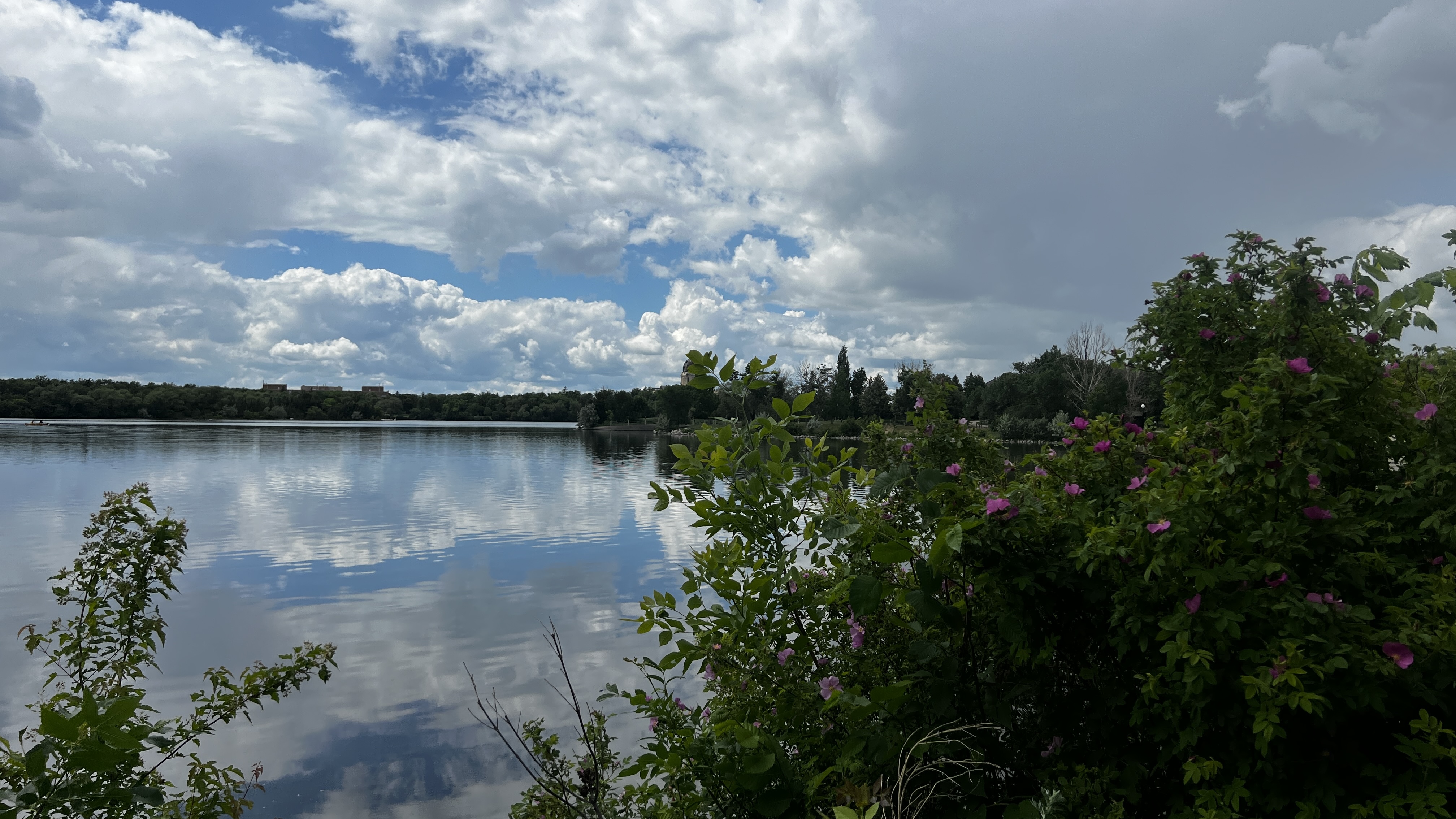 Water and bush